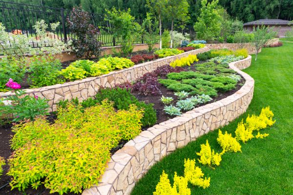 Tucson Landscaping