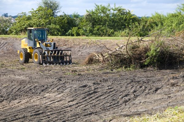 Tucson Land Clearing